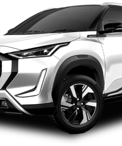 MAGNITE ADVANCE 1.0 LTS MT 2025