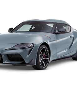 Supra Color especial Gris Mate